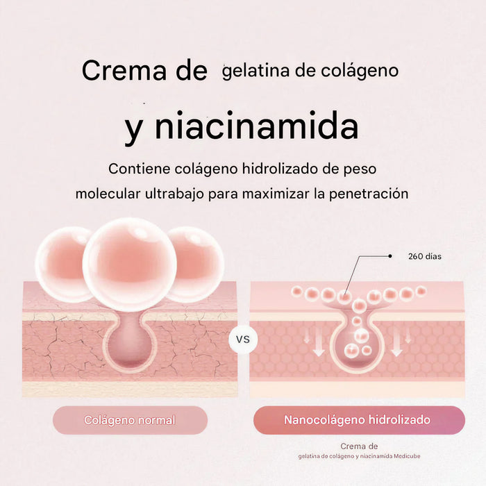 Collagen Jelly Cream (2 Tamaños)
