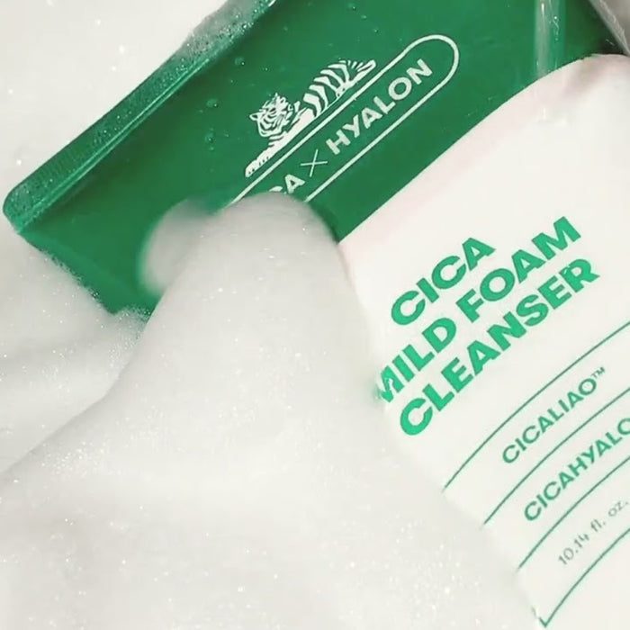 Cica Mild Foam Cleanser