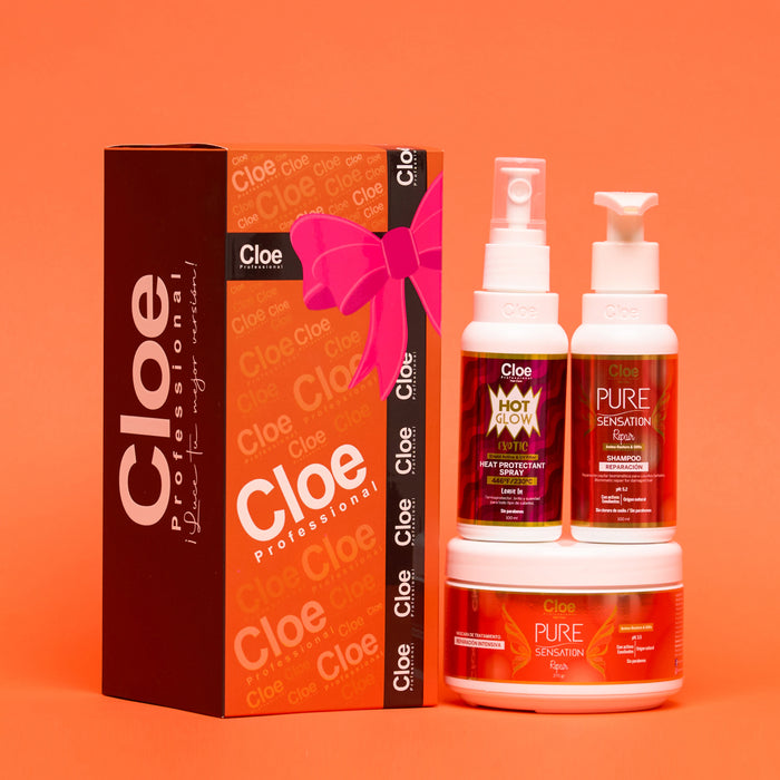 Pack Navidad  Repair 2025