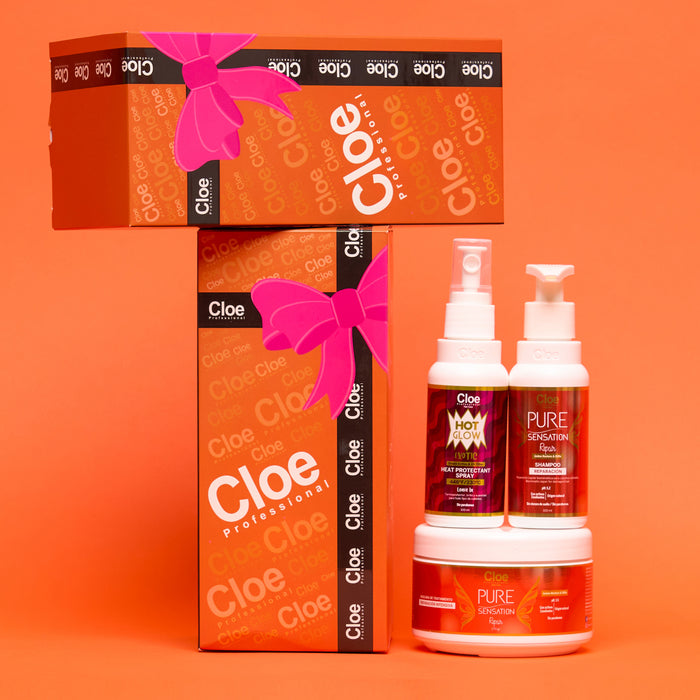 Pack Navidad  Repair 2025