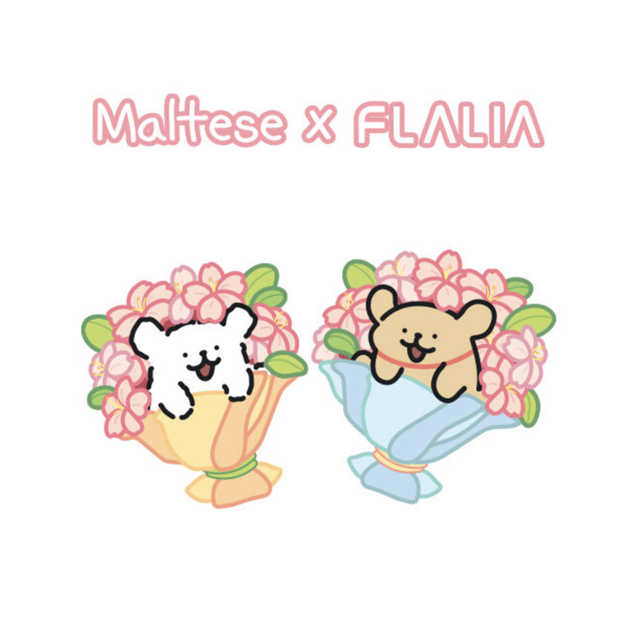 Maltese skin fit makeup puff 2P