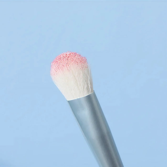 Maltese Eye Brush kit 4p