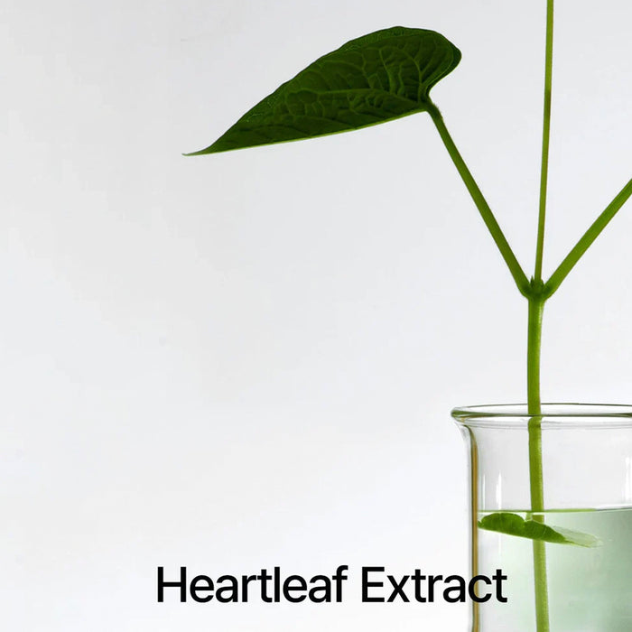 Heartleaf 77% Soothing Toner