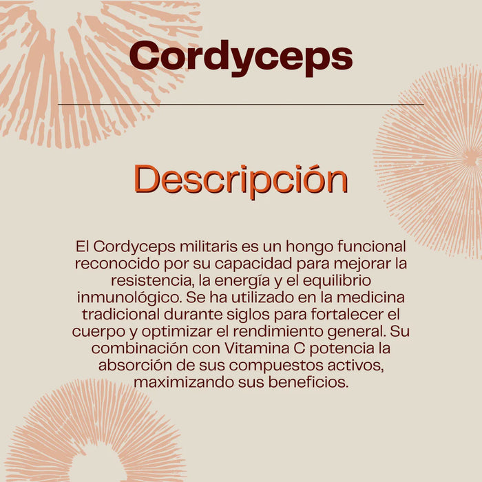 Cordyceps Suplemento Deportistas 60 Capsulas