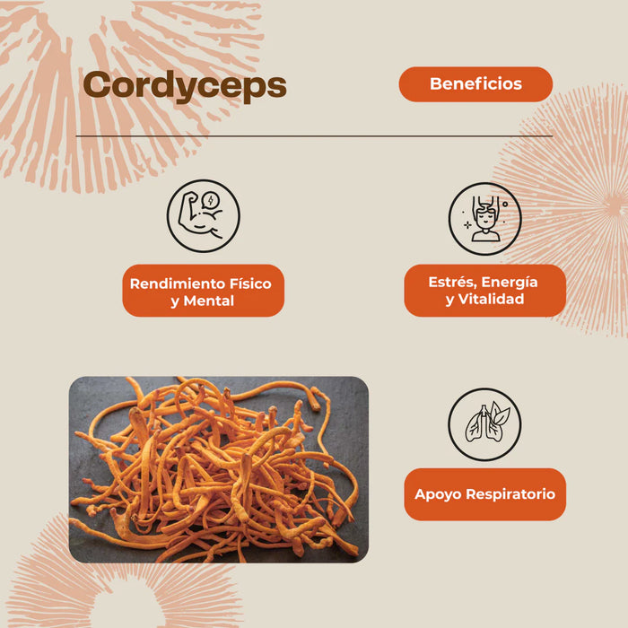Cordyceps Suplemento Deportistas 60 Capsulas