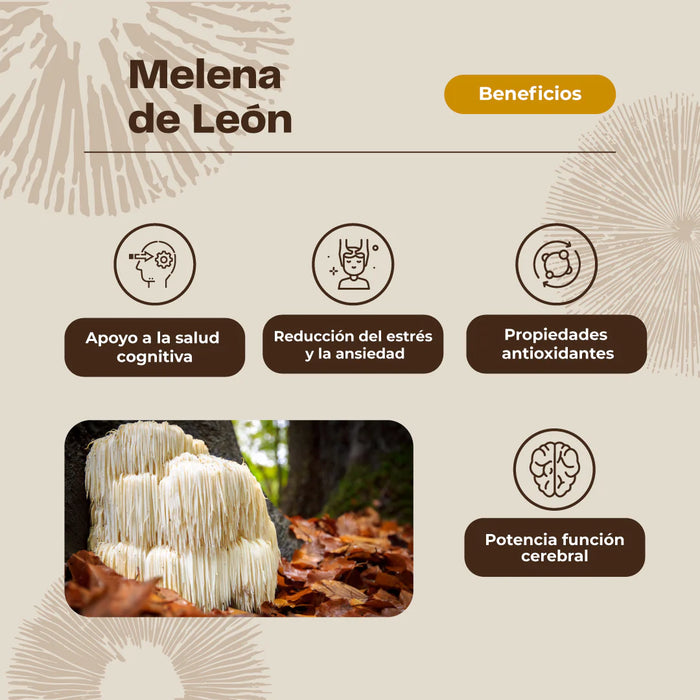 Hongo Melena de León + Vitamina C 60 Gomitas