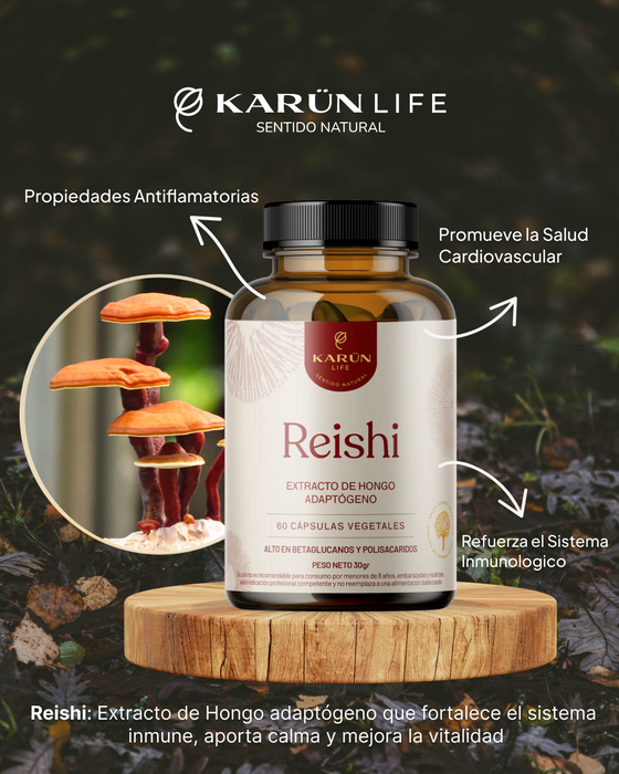 Reishi Hongo 500 Mg 60 Capsulas