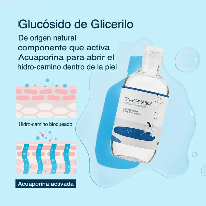 Birch Juice Moisturizing Toner 300ml