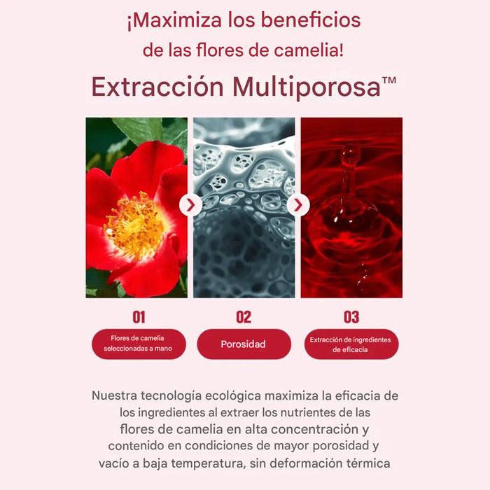 Camellia Deep Collagen Firming Ampoule 30ml