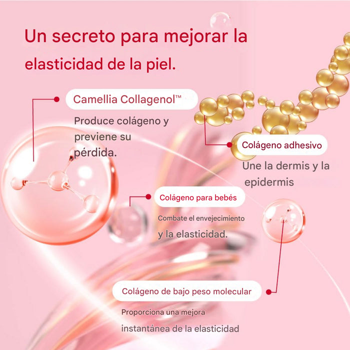 Camellia Deep Collagen Firming Cream 50ml