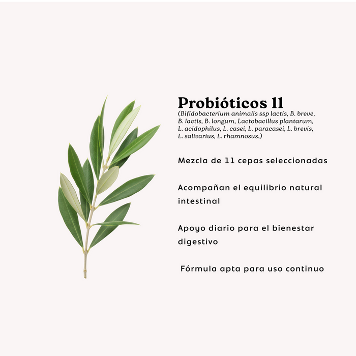 Cepas incluidas en Probióticos 11 Cepas